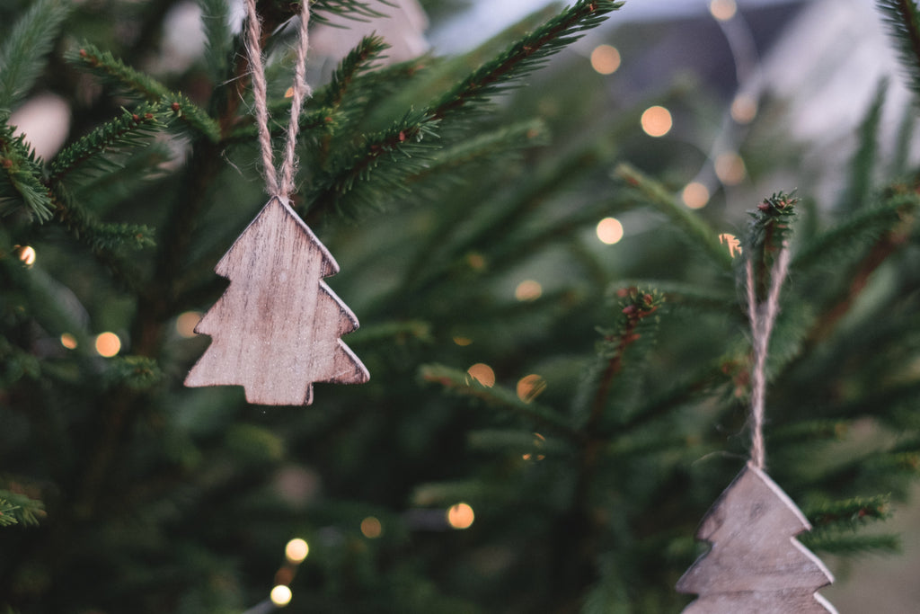 A Guide to a Plastic Free, Eco Friendly Christmas 🌲