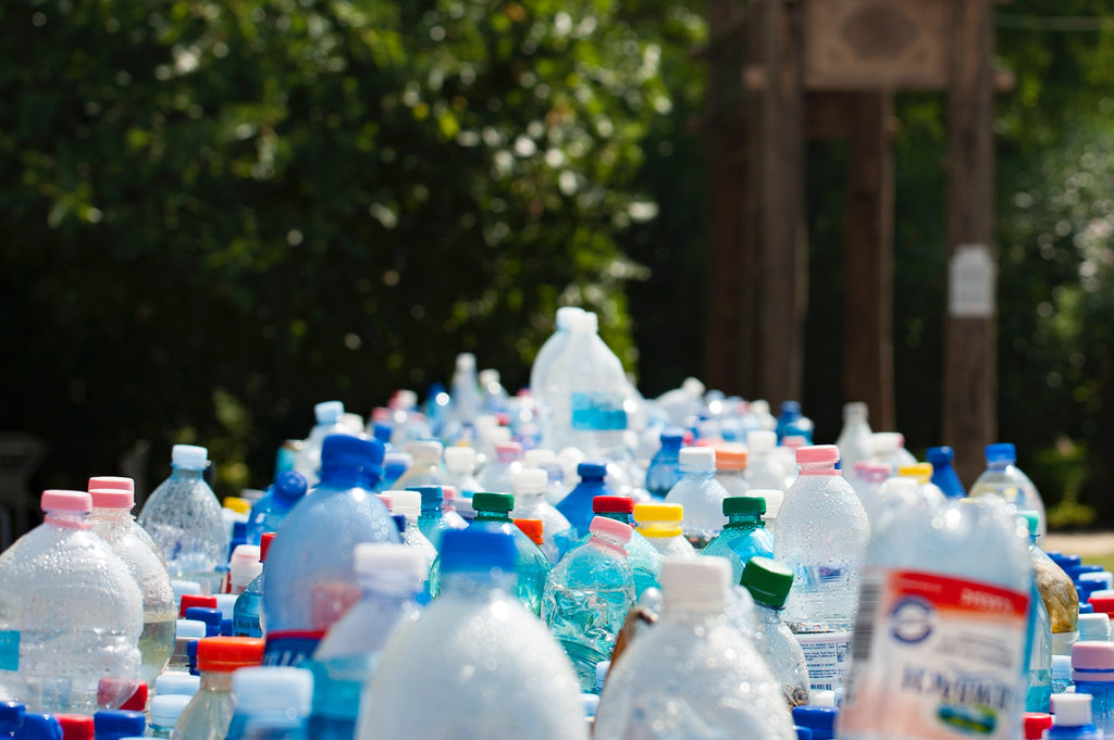 10 green lifestyle changes we should all be making for our family